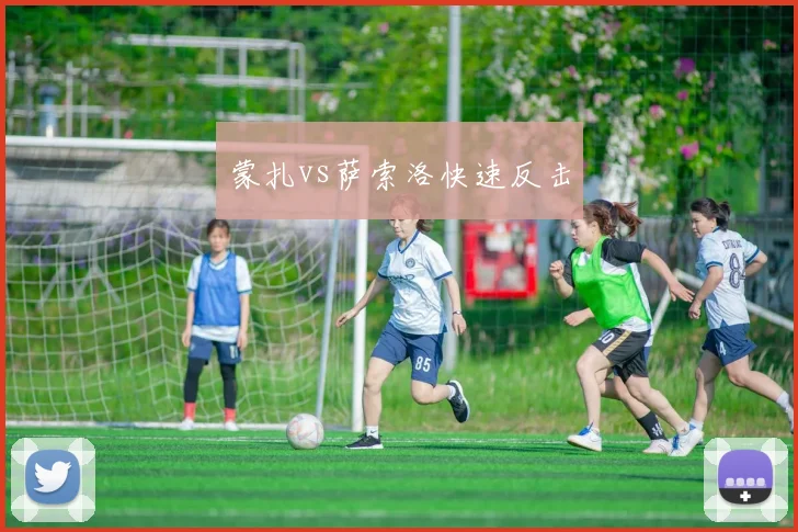 蒙扎vs萨索洛快速反击