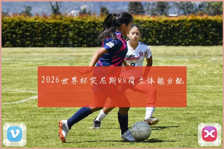 2026世界杯突尼斯vs荷兰体能分配