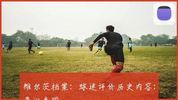 维尔茨档案:球迷评价历史内容:争议表现